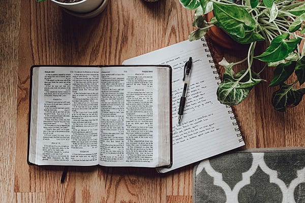 bible with a journal on a table with plants